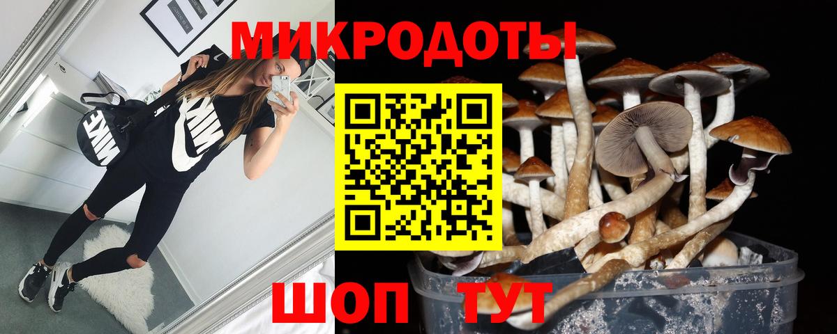 Псилоцибиновые грибы мухоморы Гусиноозёрск